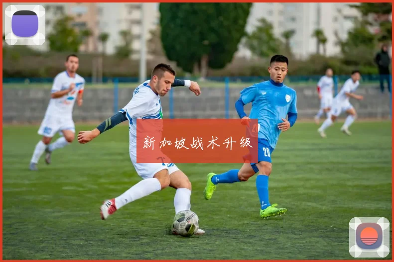 新加坡战术升级