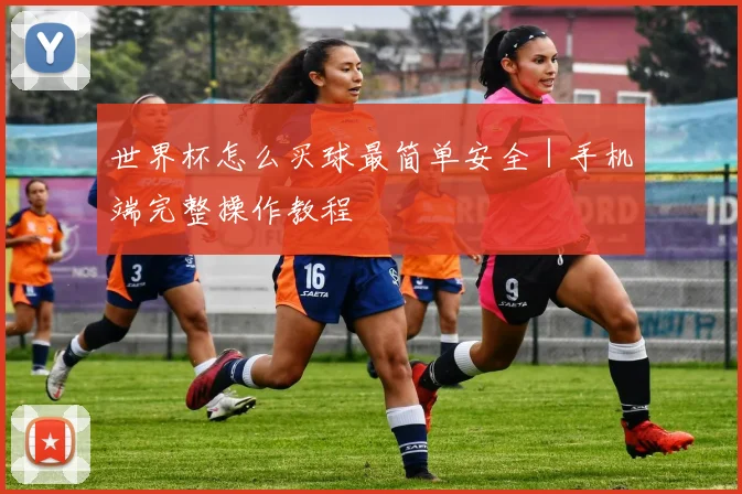 世界杯怎么买球最简单安全｜手机端完整操作教程