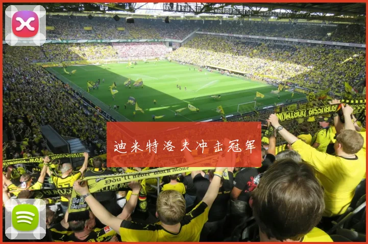 迪米特洛夫冲击冠军