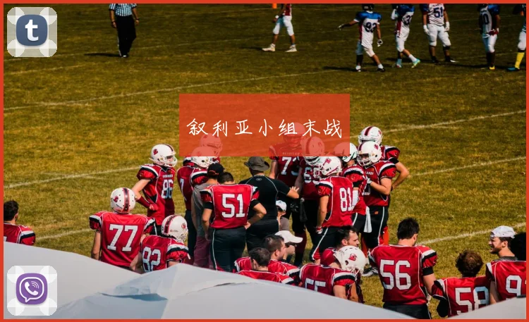 叙利亚小组末战