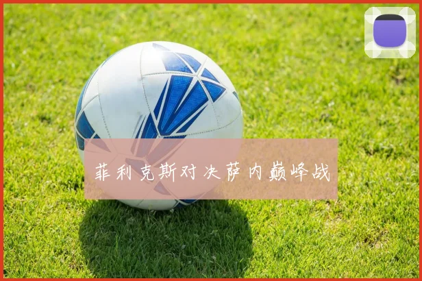 菲利克斯对决萨内巅峰战