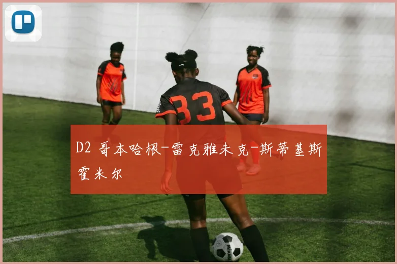 D2 哥本哈根-雷克雅未克-斯蒂基斯霍米尔