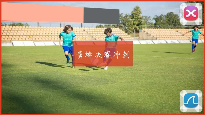 黄蜂决赛冲刺