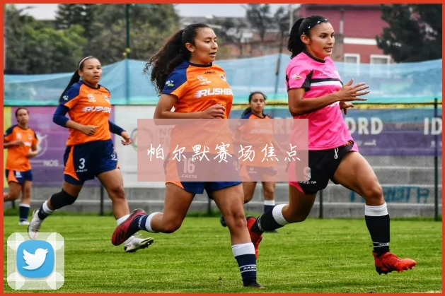 帕尔默赛场焦点