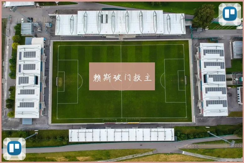 赖斯破门救主