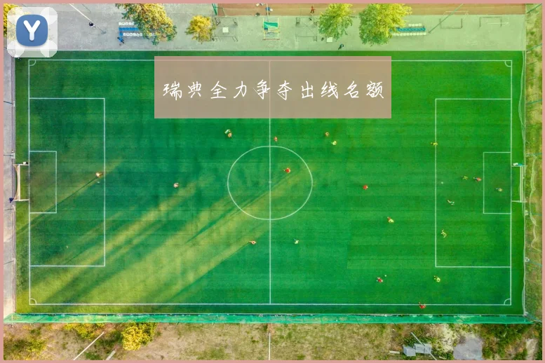 瑞典全力争夺出线名额