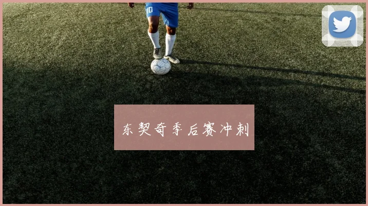 东契奇季后赛冲刺