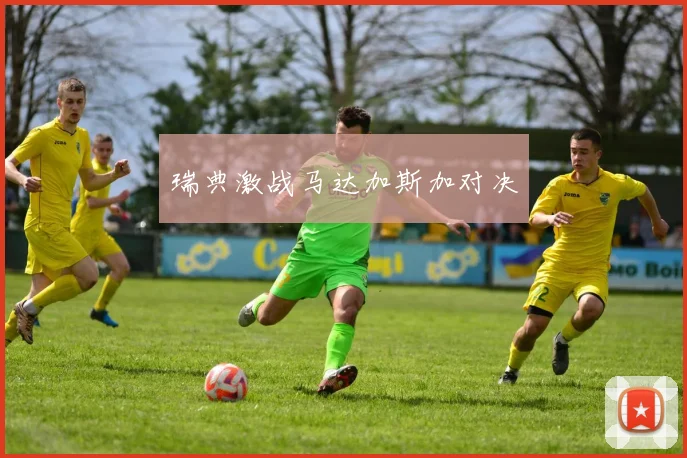 瑞典激战马达加斯加对决