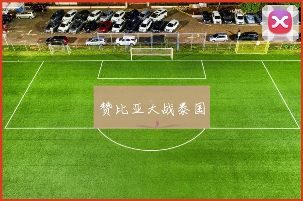 赞比亚大战泰国
