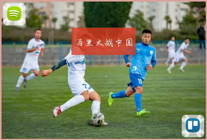 马里大战中国