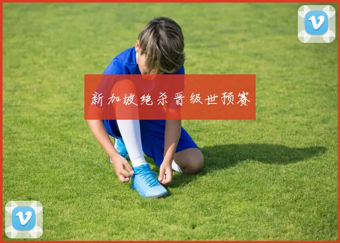 新加坡绝杀晋级世预赛