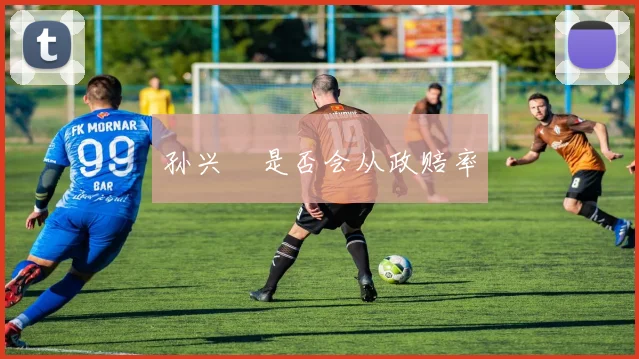 孙兴慜是否会从政赔率