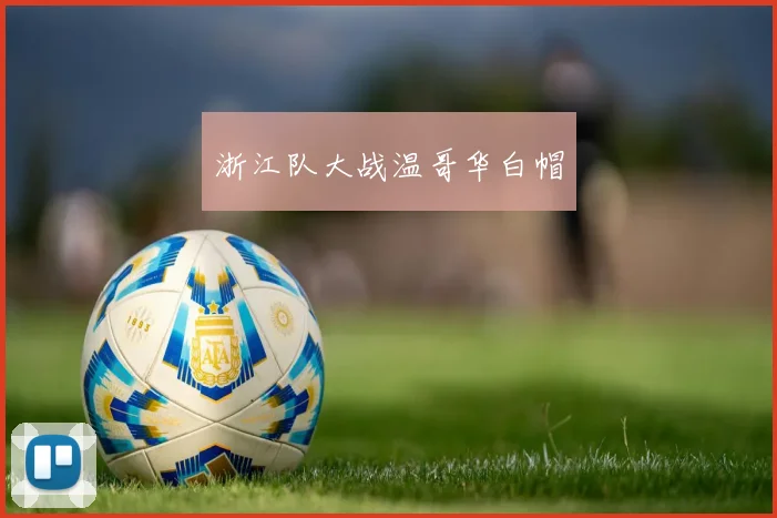浙江队大战温哥华白帽