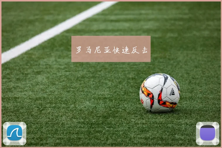 罗马尼亚快速反击