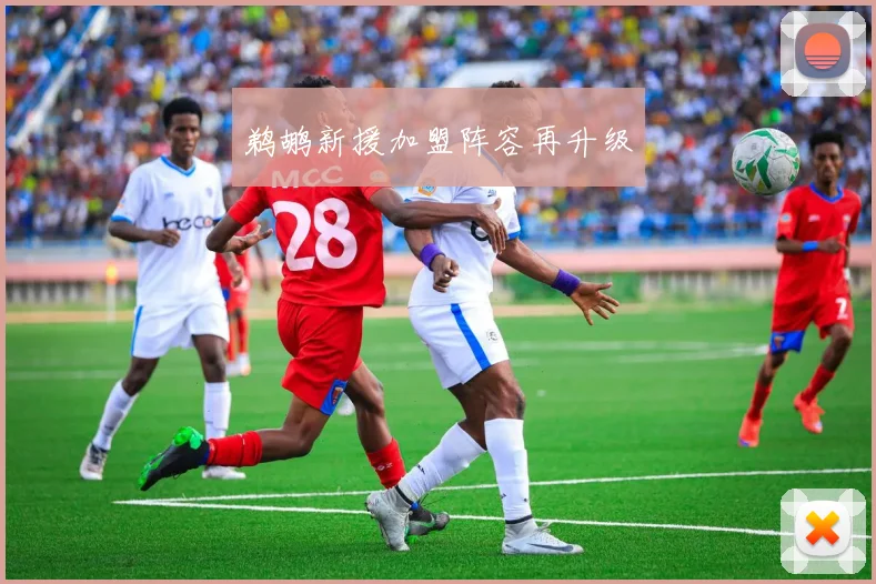 鹈鹕新援加盟阵容再升级
