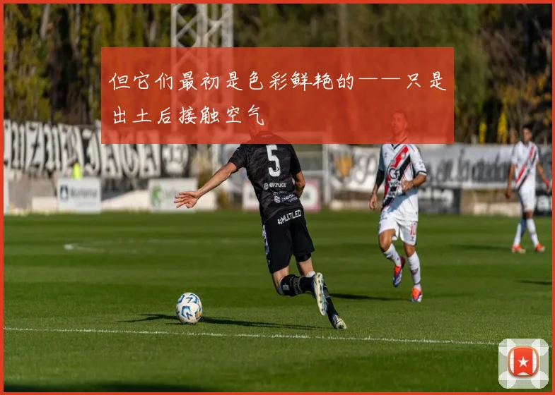 但它们最初是色彩鲜艳的——只是出土后接触空气